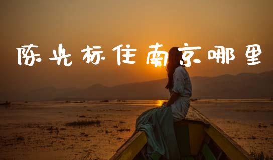 陈光标住南京哪里_https://www.lcjysmgs.com_恒生指数直播_第1张