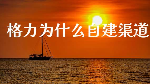 格力为什么自建渠道_https://www.lcjysmgs.com_恒生指数直播_第1张