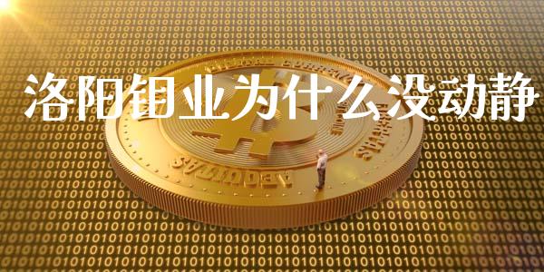 洛阳钼业为什么没动静_https://www.lcjysmgs.com_恒指直播平台_第1张
