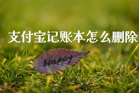 支付宝记账本怎么删除_https://www.lcjysmgs.com_黄金期货直播喊单_第1张