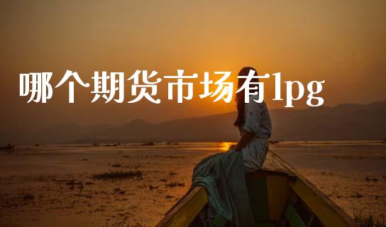 哪个期货市场有lpg_https://www.lcjysmgs.com_恒指直播平台_第1张