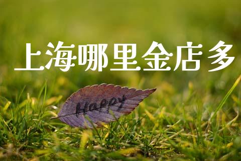 上海哪里金店多_https://www.lcjysmgs.com_黄金期货直播喊单_第1张