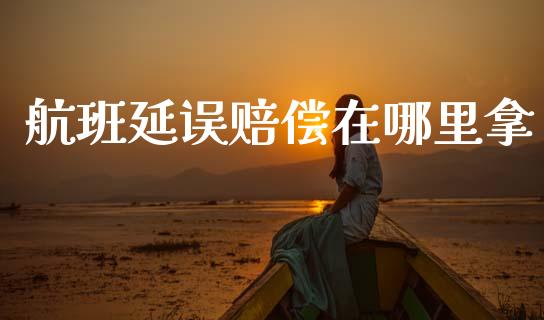 航班延误赔偿在哪里拿_https://www.lcjysmgs.com_恒指直播平台_第1张