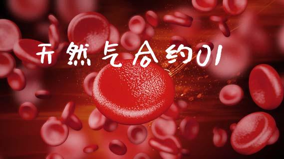 天然气合约01_https://www.lcjysmgs.com_黄金期货直播喊单_第1张