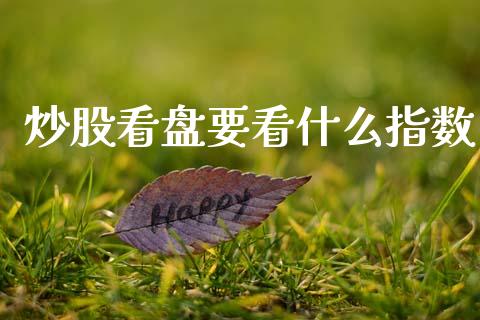 炒股看盘要看什么指数_https://www.lcjysmgs.com_恒生指数直播_第1张