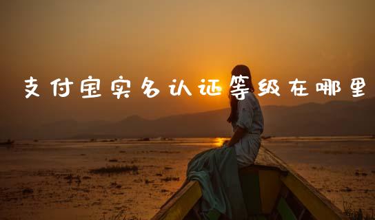 支付宝实名认证等级在哪里_https://www.lcjysmgs.com_恒指直播平台_第1张