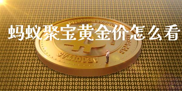 蚂蚁聚宝黄金价怎么看_https://www.lcjysmgs.com_黄金期货直播喊单_第1张