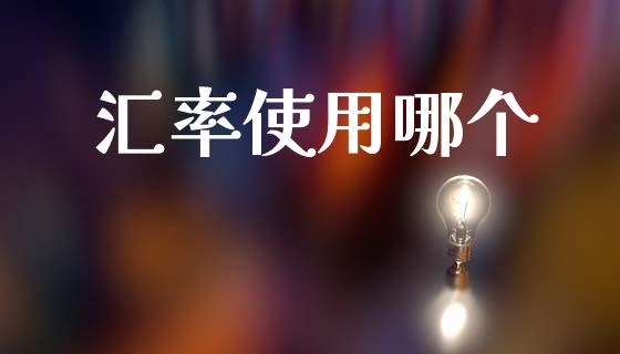 汇率使用哪个_https://www.lcjysmgs.com_德指行情直播_第1张