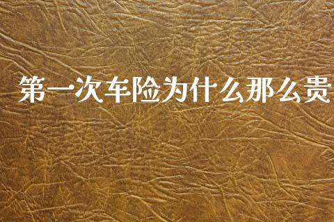 第一次车险为什么那么贵_https://www.lcjysmgs.com_黄金期货直播喊单_第1张