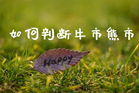 如何判断牛市熊市_https://www.lcjysmgs.com_恒生指数直播_第1张