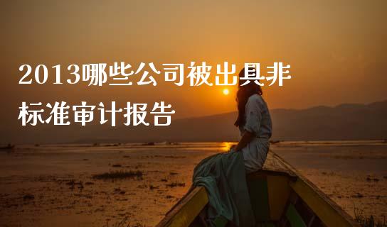 2013哪些公司被出具非标准审计报告_https://www.lcjysmgs.com_恒生指数直播_第1张