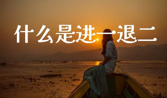 什么是进一退二_https://www.lcjysmgs.com_德指行情直播_第1张
