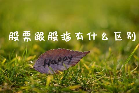 股票跟股指有什么区别_https://www.lcjysmgs.com_恒指直播平台_第1张