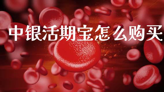 中银活期宝怎么购买_https://www.lcjysmgs.com_德指行情直播_第1张