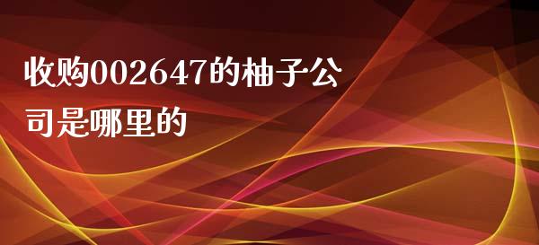 收购002647的柚子公司是哪里的_https://www.lcjysmgs.com_恒生指数直播_第1张