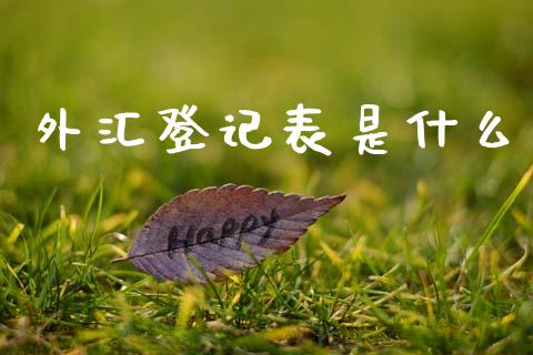 外汇登记表是什么_https://www.lcjysmgs.com_恒指直播平台_第1张
