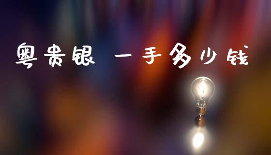 粤贵银 一手多少钱_https://www.lcjysmgs.com_恒生指数直播_第1张