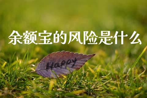 余额宝的风险是什么_https://www.lcjysmgs.com_黄金期货直播喊单_第1张