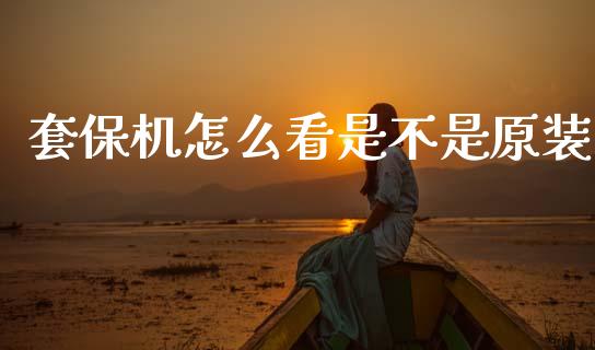 套保机怎么看是不是原装_https://www.lcjysmgs.com_德指行情直播_第1张