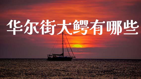 华尔街大鳄有哪些_https://www.lcjysmgs.com_恒指直播平台_第1张