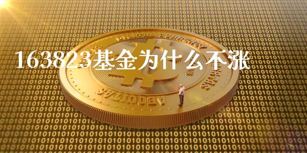 163823基金为什么不涨_https://www.lcjysmgs.com_黄金期货直播喊单_第1张