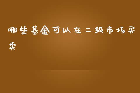 哪些基金可以在二级市场买卖_https://www.lcjysmgs.com_恒生指数直播_第1张