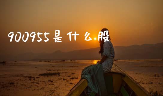 900955是什么股_https://www.lcjysmgs.com_黄金期货直播喊单_第1张