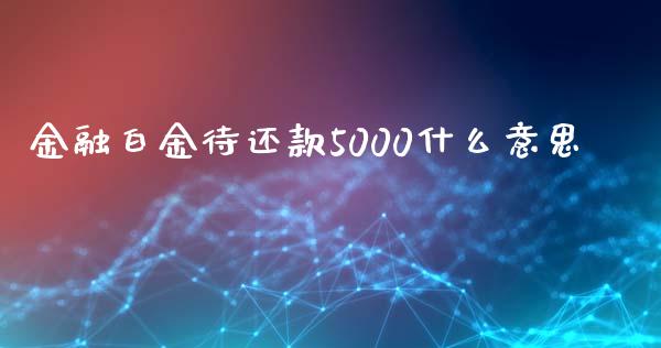 金融白金待还款5000什么意思_https://www.lcjysmgs.com_恒生指数直播_第1张