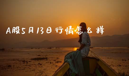 A股5月13日行情怎么样_https://www.lcjysmgs.com_恒指直播平台_第1张