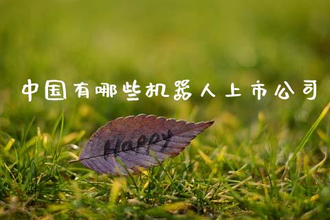 中国有哪些机器人上市公司_https://www.lcjysmgs.com_德指行情直播_第1张