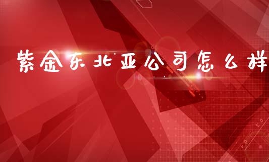 紫金东北亚公司怎么样_https://www.lcjysmgs.com_黄金期货直播喊单_第1张