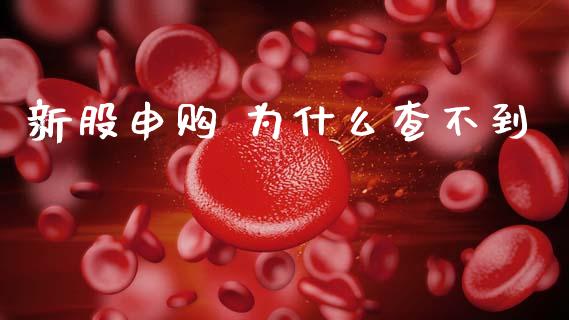 新股申购 为什么查不到_https://www.lcjysmgs.com_恒指直播平台_第1张