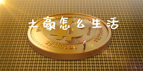 土豪怎么生活_https://www.lcjysmgs.com_恒生指数直播_第1张