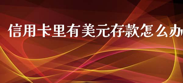 信用卡里有美元存款怎么办_https://www.lcjysmgs.com_恒生指数直播_第1张
