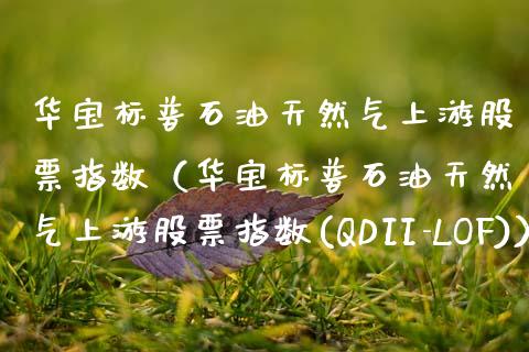华宝标普石油天然气上游股票指数(华宝标普石油天然气上游股票指数(QDII-LOF))_恒生指数直播_第1张_恒生指数直播_恒指直播平台_德指行情直播_黄金期货直播喊单 华宝标普石油天然气上游股票指数(华宝标普石油天然气上游股票指数(QDII-LOF))_https://www.lcjysmgs.com_恒生指数直播_第1张