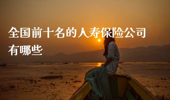 全国前十名的人寿保险公司有哪些_https://www.lcjysmgs.com_恒生指数直播_第1张