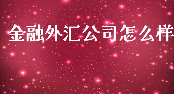金融外汇公司怎么样_https://www.lcjysmgs.com_恒指直播平台_第1张
