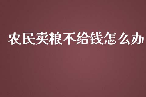 农民卖粮不给钱怎么办_https://www.lcjysmgs.com_黄金期货直播喊单_第1张