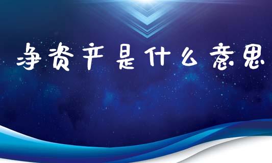 净资产是什么意思_https://www.lcjysmgs.com_恒生指数直播_第1张