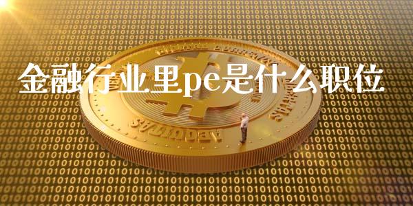 金融行业里pe是什么职位_https://www.lcjysmgs.com_恒指直播平台_第1张