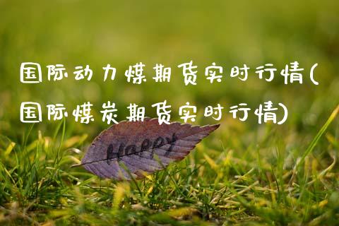 国际动力煤期货实时行情(国际煤炭期货实时行情)_https://www.lcjysmgs.com_黄金期货直播喊单_第1张
