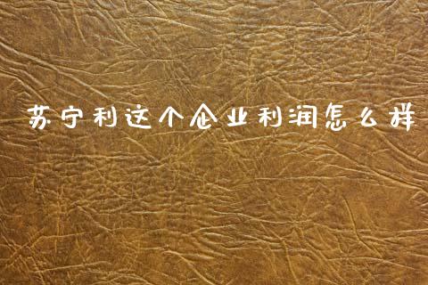 苏宁利这个企业利润怎么样_https://www.lcjysmgs.com_恒生指数直播_第1张
