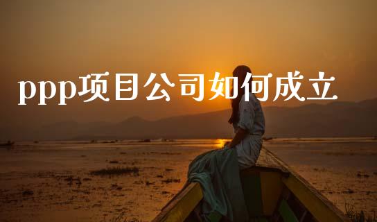 ppp项目公司如何成立_https://www.lcjysmgs.com_黄金期货直播喊单_第1张