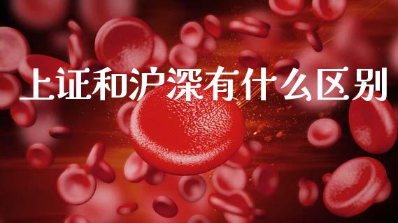 上证和沪深有什么区别_https://www.lcjysmgs.com_恒指直播平台_第1张