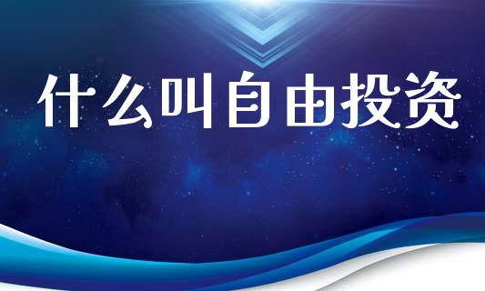 什么叫自由投资_https://www.lcjysmgs.com_恒生指数直播_第1张
