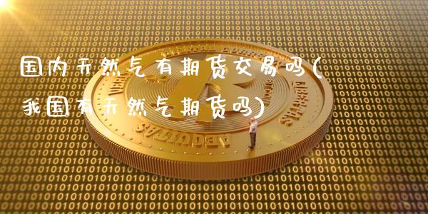 国内天然气有期货交易吗(我国有天然气期货吗)_https://www.lcjysmgs.com_恒指直播平台_第1张