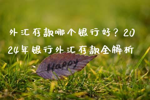 外汇存款哪个银行好？2024年银行外汇存款全解析_https://www.lcjysmgs.com_恒指直播平台_第1张