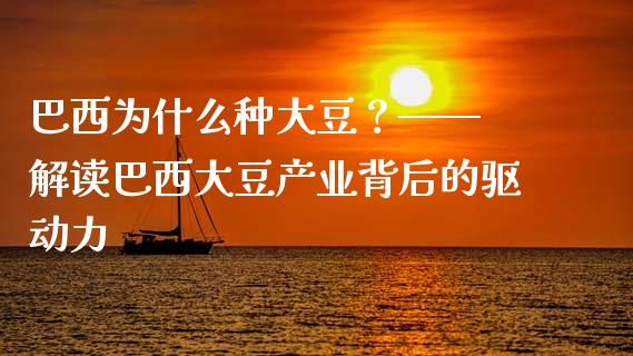 巴西为什么种大豆？—— 解读巴西大豆产业背后的驱动力_https://www.lcjysmgs.com_德指行情直播_第1张