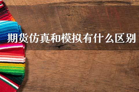 期货仿真和模拟有什么区别_https://www.lcjysmgs.com_德指行情直播_第1张