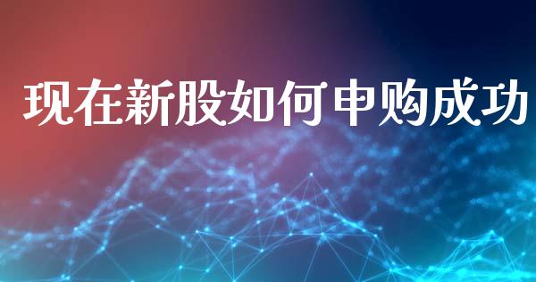 现在新股如何申购成功_https://www.lcjysmgs.com_恒生指数直播_第1张